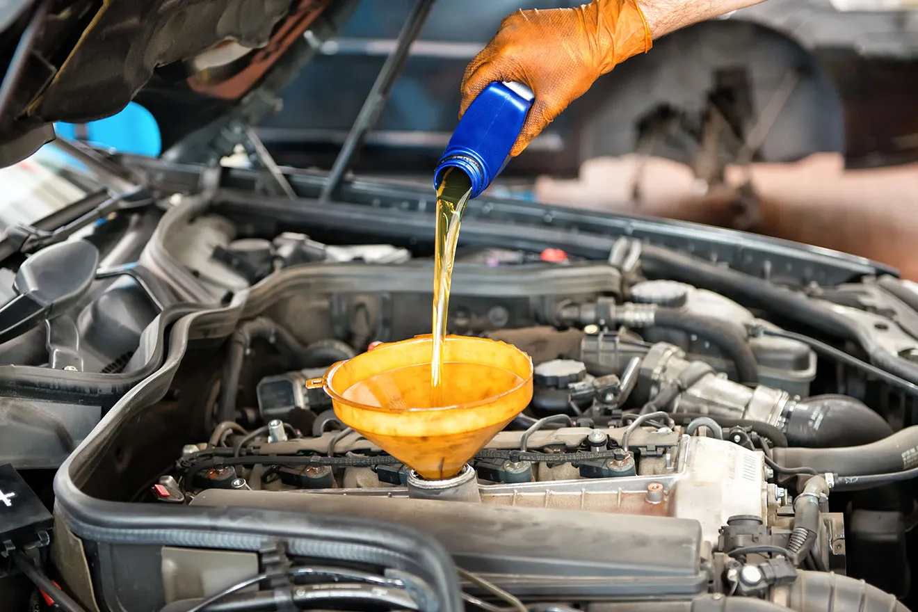 Honda Service Advice Image
